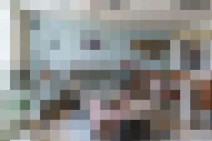 Bruinissestraat 50 Tilburg thumbnail 5