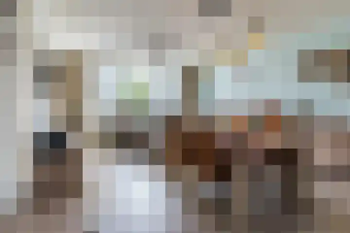 Bruinissestraat 50 Tilburg thumbnail 6