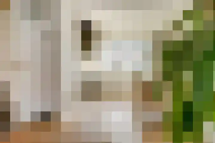 Bruinissestraat 66 Arnhem thumbnail 14