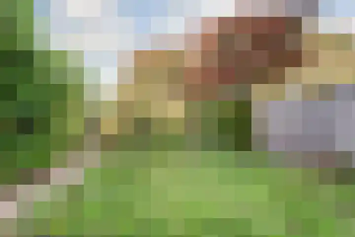 Bruinissestraat 66 Arnhem thumbnail 32