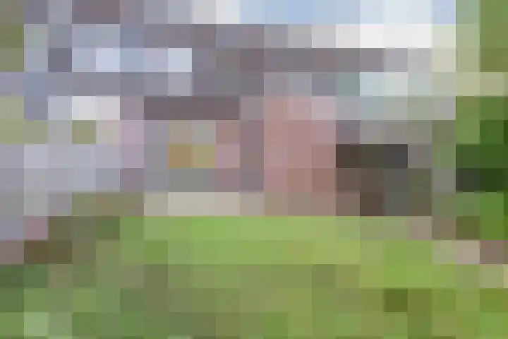 Bruinissestraat 66 Arnhem thumbnail 33
