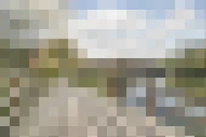 Bruinissestraat 66 Arnhem thumbnail 41