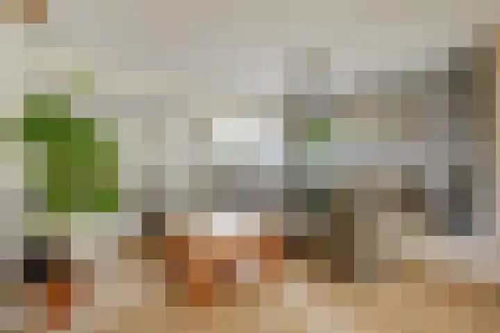 Bruinissestraat 66 Arnhem thumbnail 8