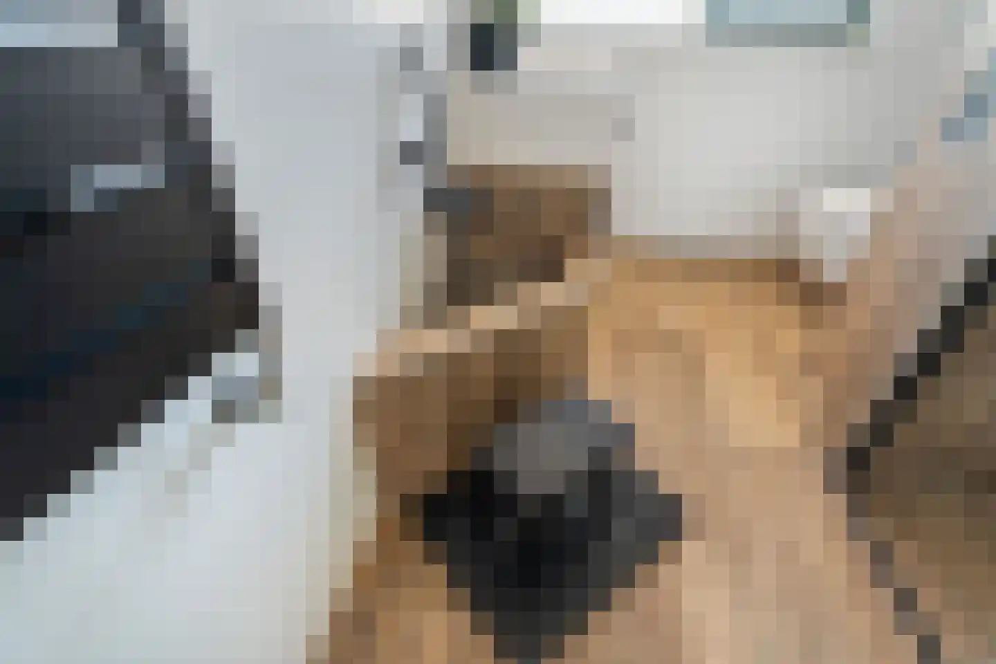 Bruinissestraat 7 Rotterdam thumbnail 39