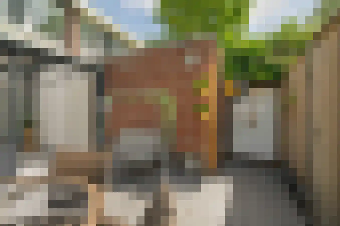 Bruinissestraat 7 Rotterdam thumbnail 64