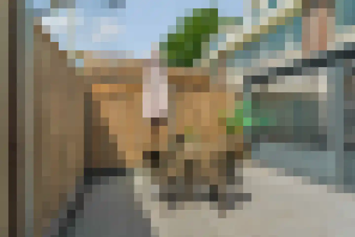 Bruinissestraat 7 Rotterdam thumbnail 65