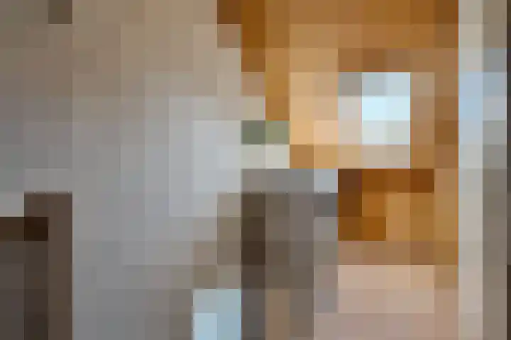 Bruinissestraat 74 Arnhem thumbnail 34