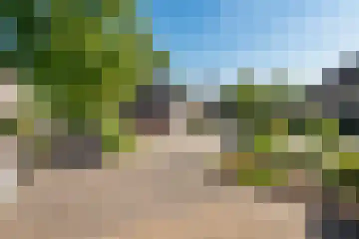 Bruinissestraat 74 Arnhem thumbnail 39