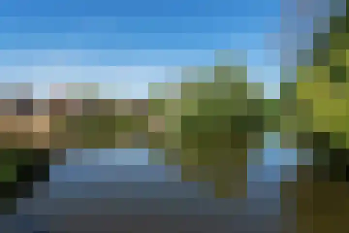 Bruinissestraat 74 Arnhem thumbnail 42
