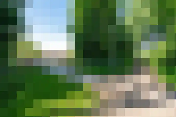 Bruinissestraat 74 Arnhem thumbnail 43