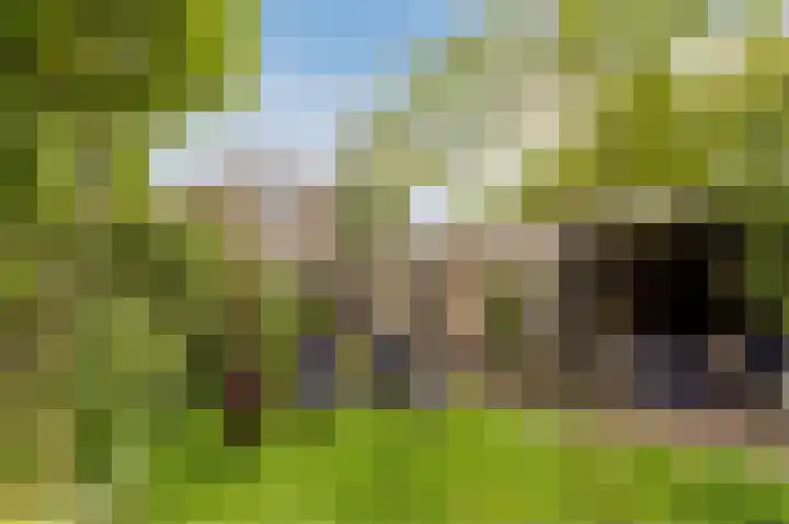 Bruins Slotlaan 17 Nijkerk thumbnail 20