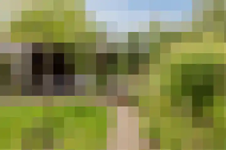 Bruins Slotlaan 17 Nijkerk thumbnail 22