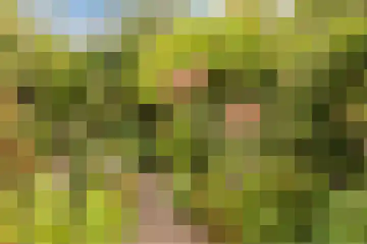 Bruins Slotlaan 17 Nijkerk thumbnail 24
