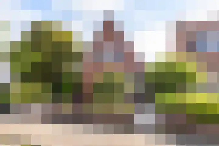 Bruinsslotstraat 1 Drachten thumbnail 23
