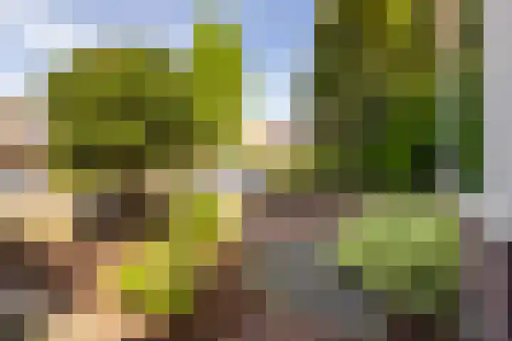 Bruinsslotstraat 1 Drachten thumbnail 24