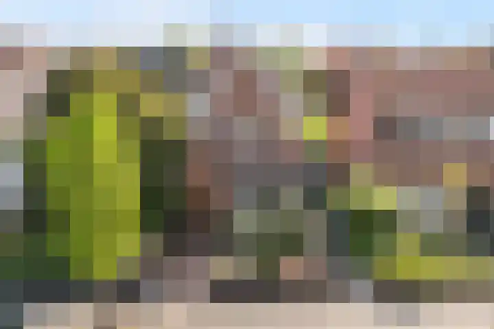 Bruinsslotstraat 1 Drachten thumbnail 29
