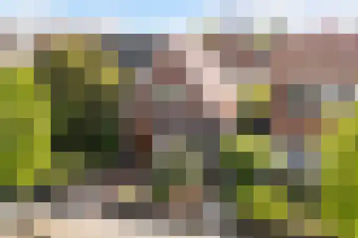 Bruinsslotstraat 1 Drachten thumbnail 36