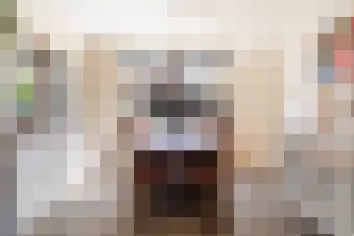 Bruinsslotstraat 1 Drachten thumbnail 7
