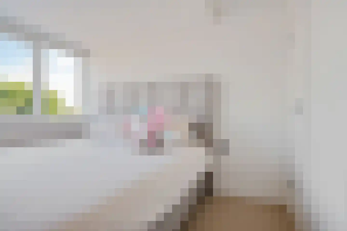 Bruinsslotstraat 12 Drachten thumbnail 23