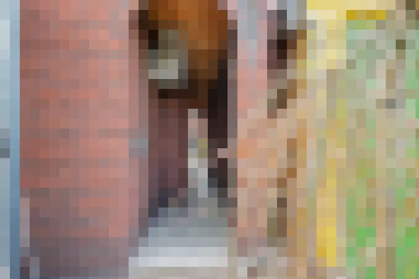 Bruinsslotstraat 12 Drachten thumbnail 36