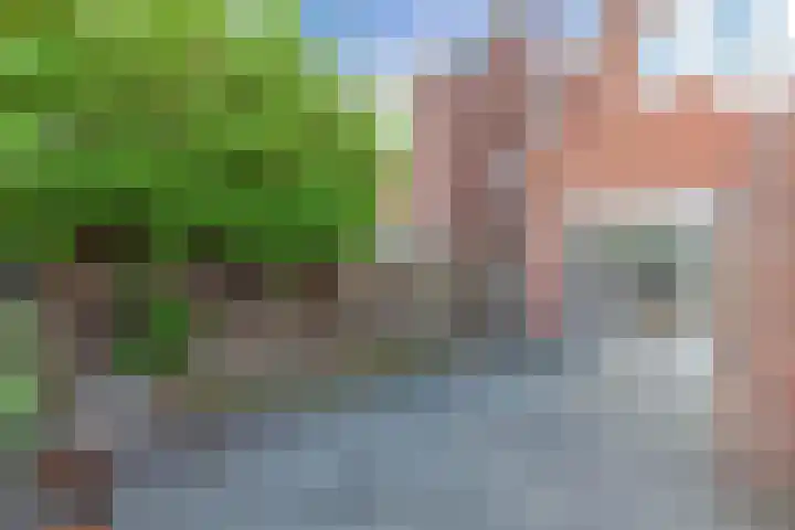 Bruinsslotstraat 19 a Drachten thumbnail 31