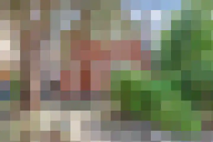 Bruinsslotstraat 19 a Drachten thumbnail 4