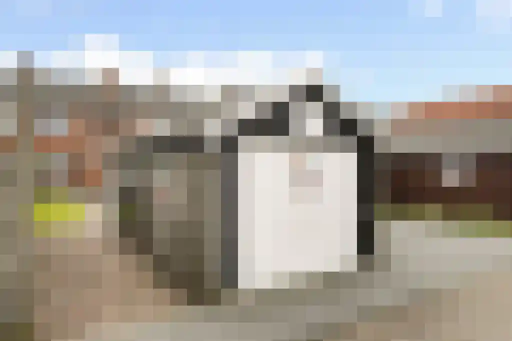 Bruinsslotstraat 24 Drachten thumbnail 24