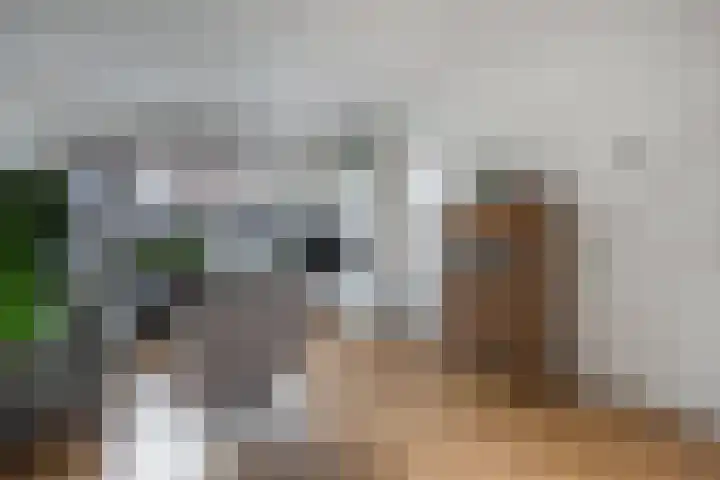 Bruinsslotstraat 28 Drachten thumbnail 8