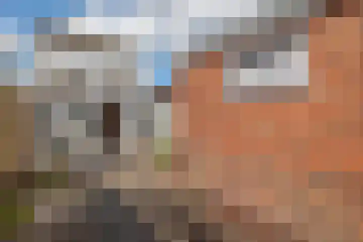 Bruinsslotstraat 30 Drachten thumbnail 26