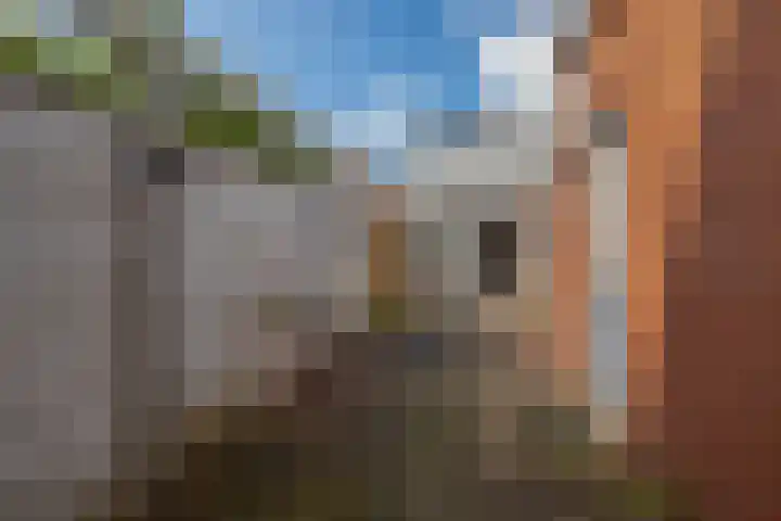 Bruinsslotstraat 30 Drachten thumbnail 31