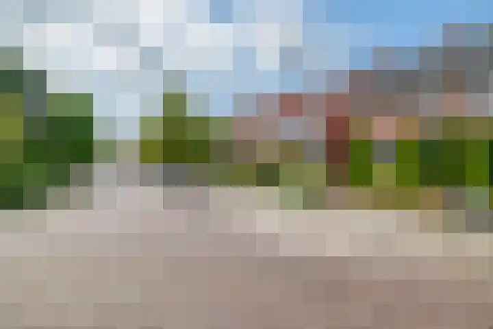 Bruinsslotstraat 30 Drachten thumbnail 37