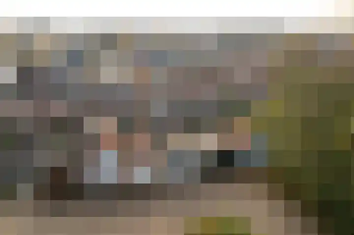 Bruinsslotstraat 32 Drachten thumbnail 8