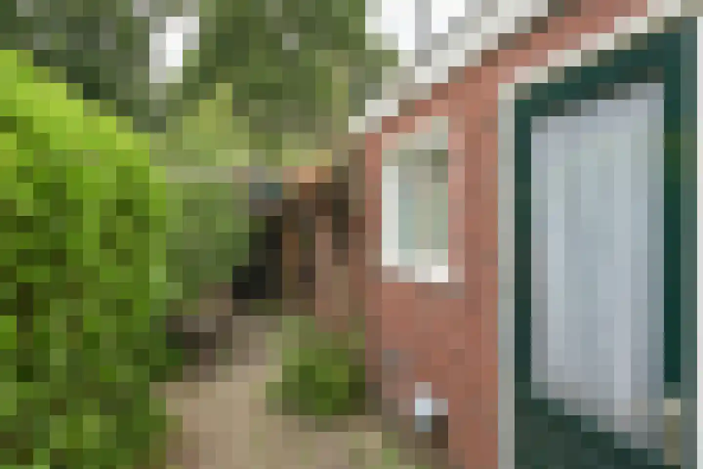Bruinsslotstraat 38 Drachten thumbnail 4