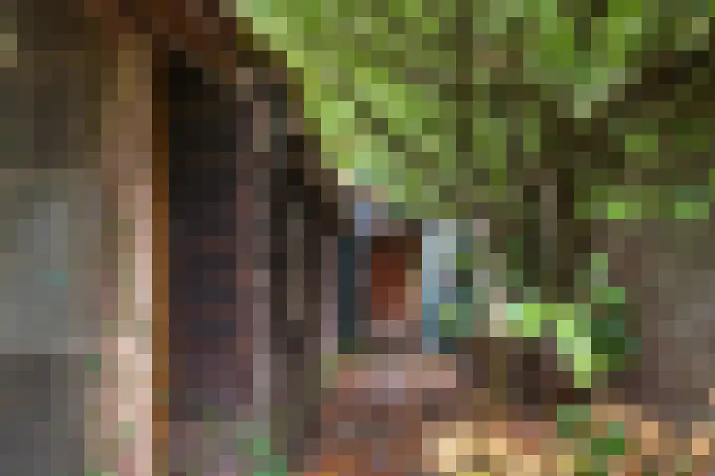 Bruinsslotstraat 38 Drachten thumbnail 5