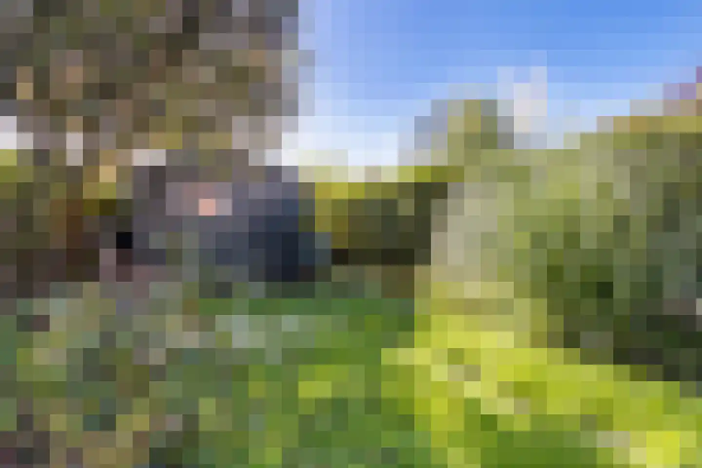 Bruinsslotstraat 5 Drachten thumbnail 35