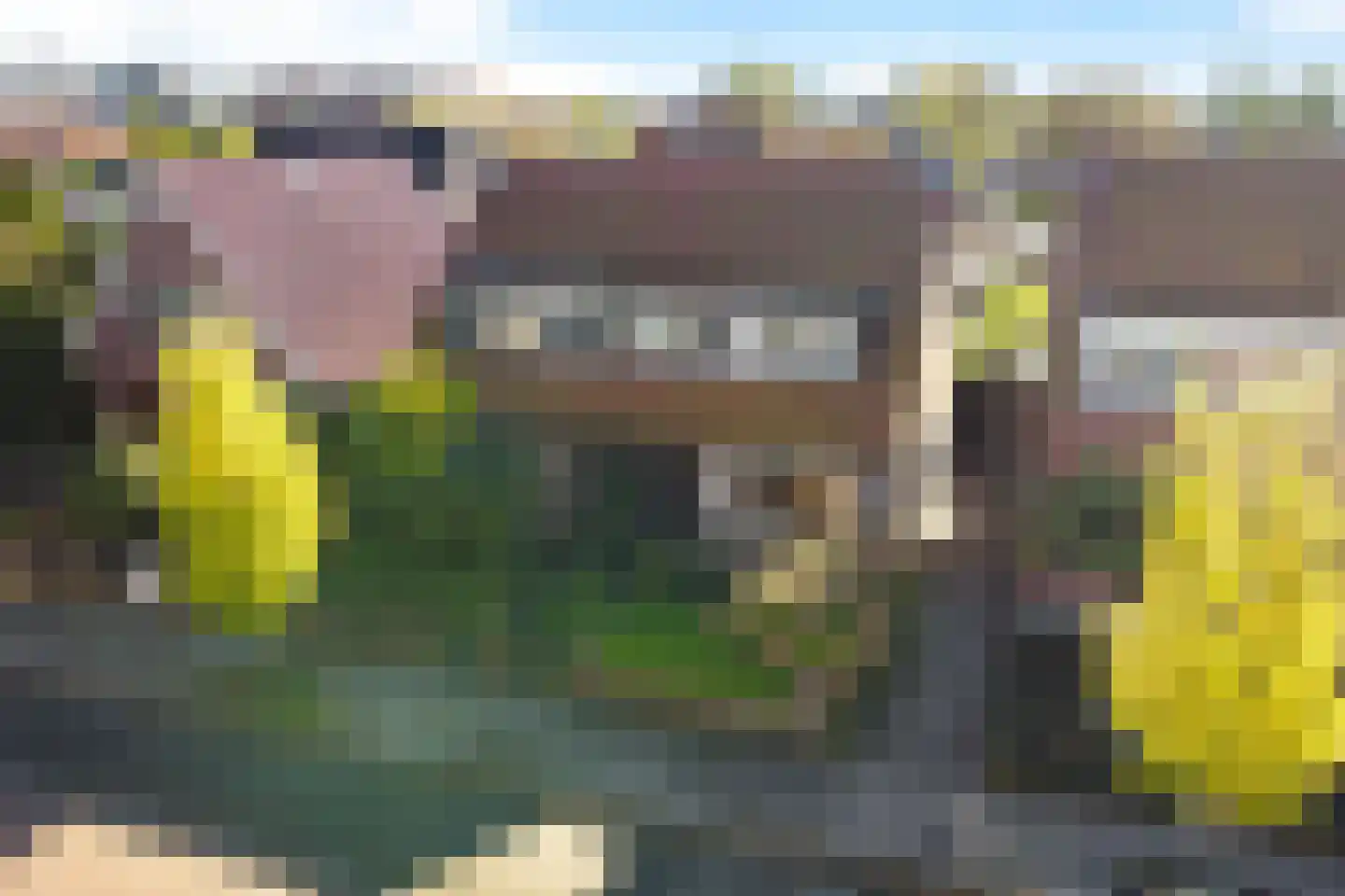 Bruinsslotstraat 5 Drachten thumbnail 41