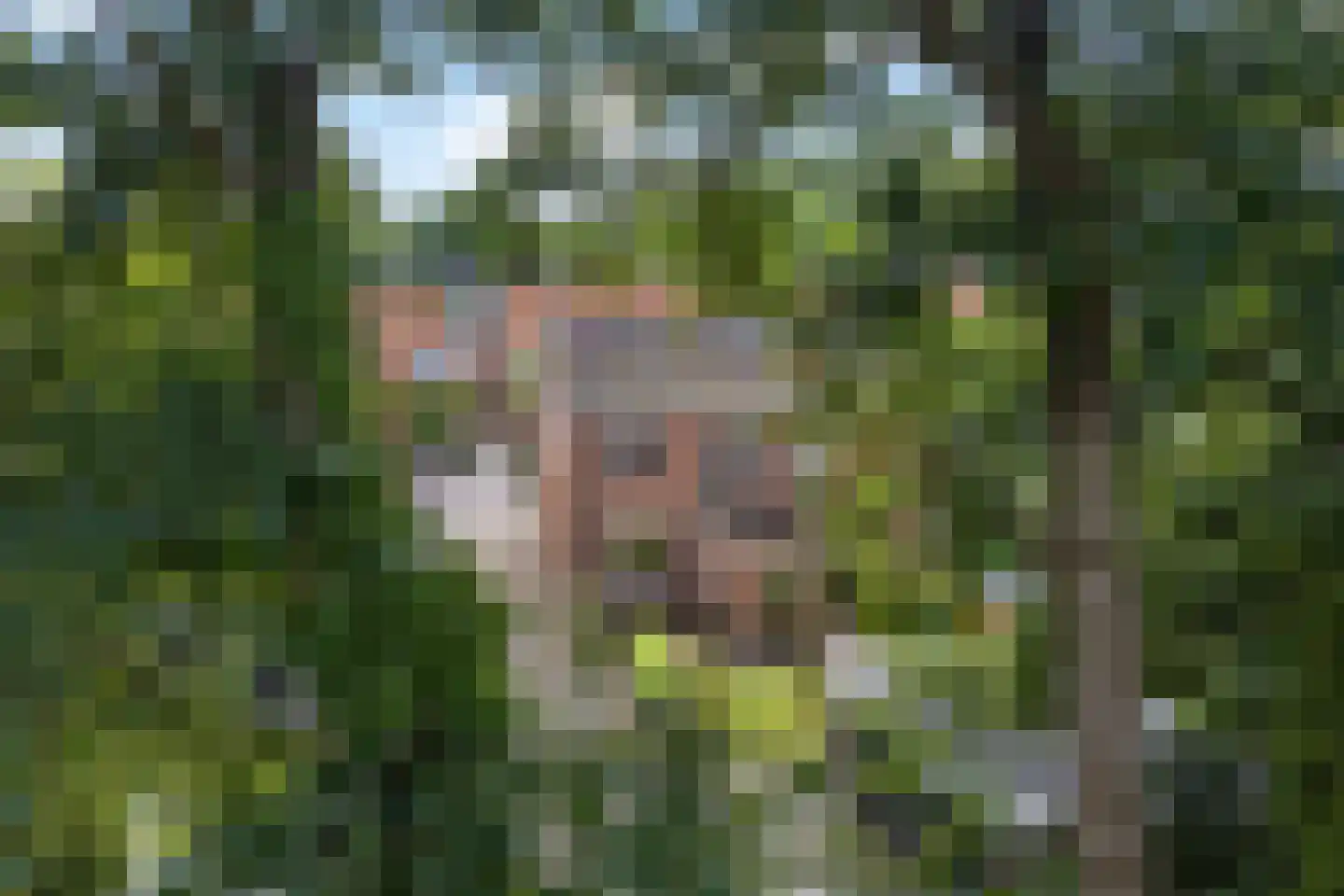 Bruinsslotstraat 56 Drachten thumbnail 48