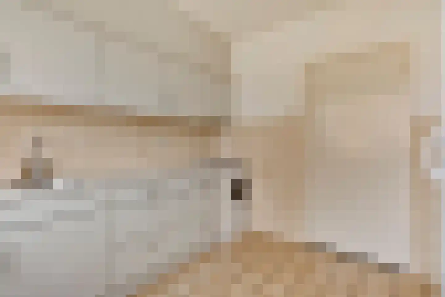 Bruinsteeg 2 Schaijk thumbnail 19