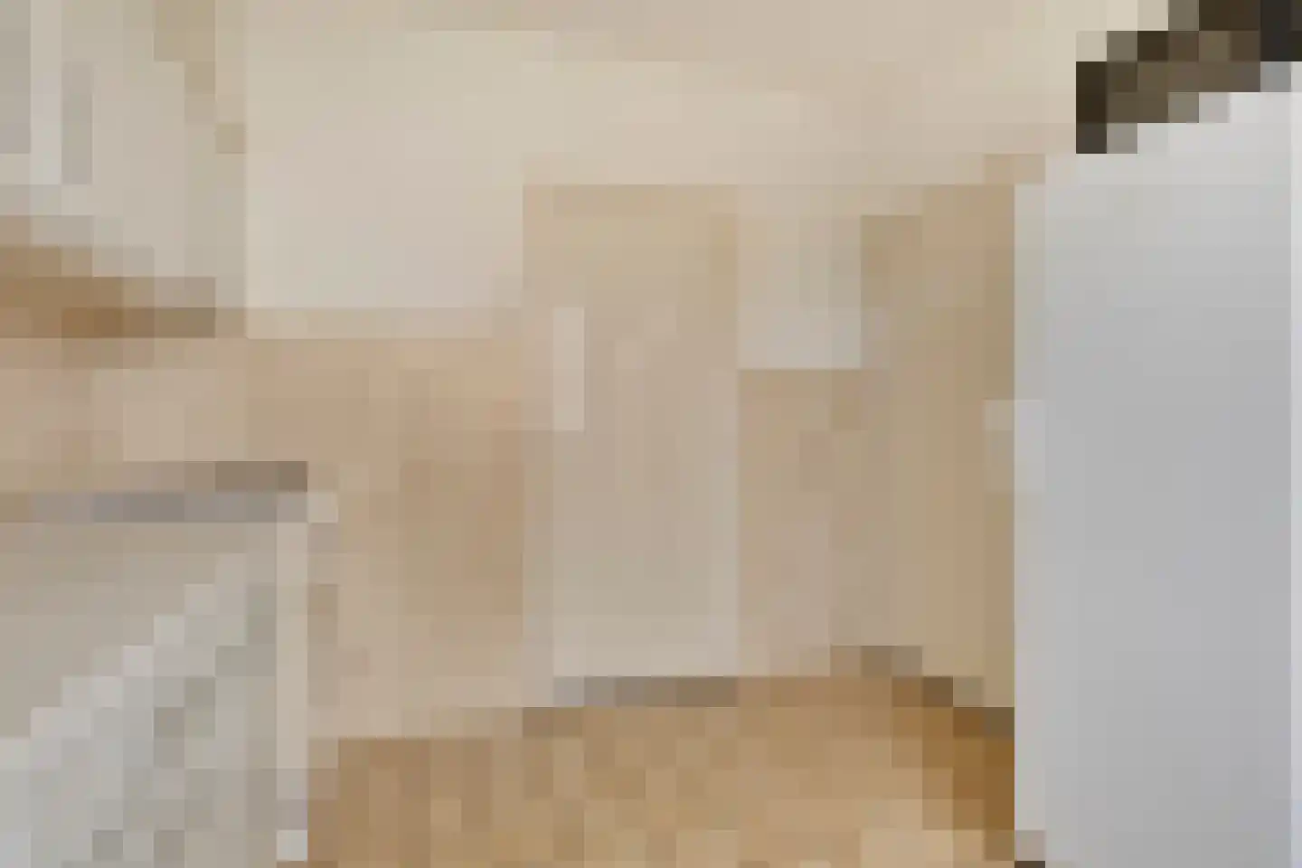 Bruinsteeg 2 Schaijk thumbnail 20