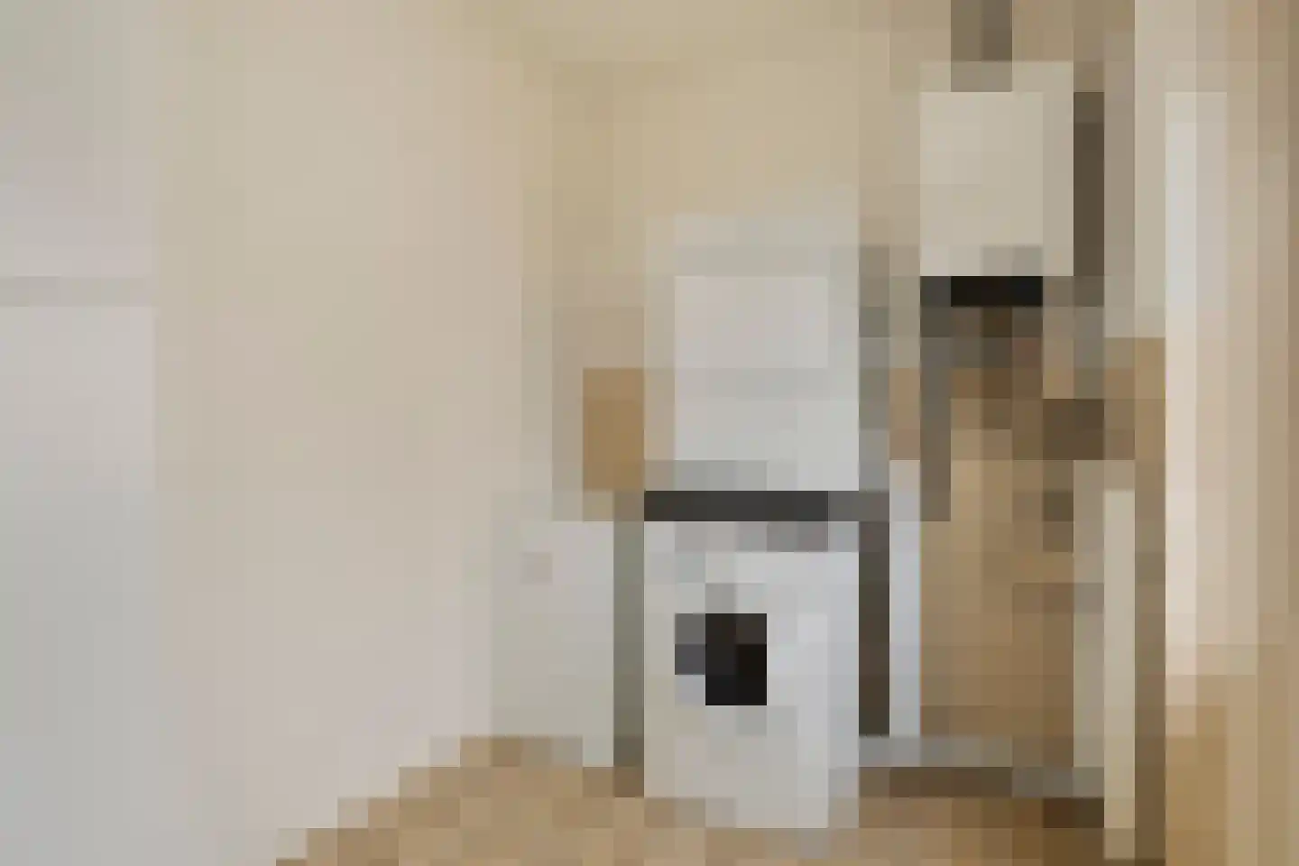 Bruinsteeg 2 Schaijk thumbnail 21