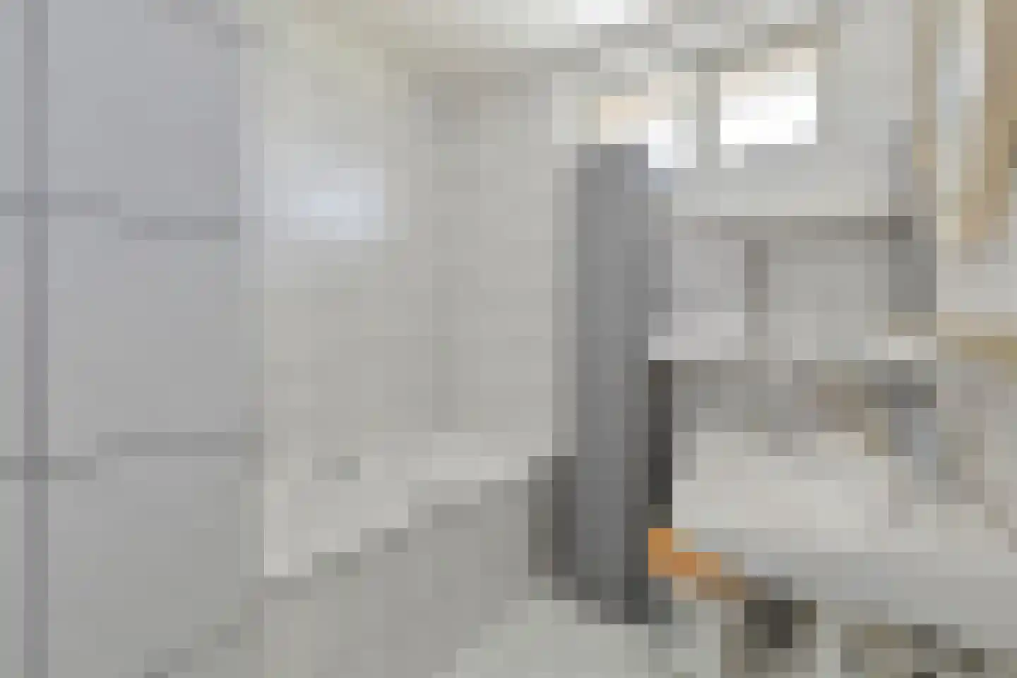 Bruinsteeg 2 Schaijk thumbnail 25