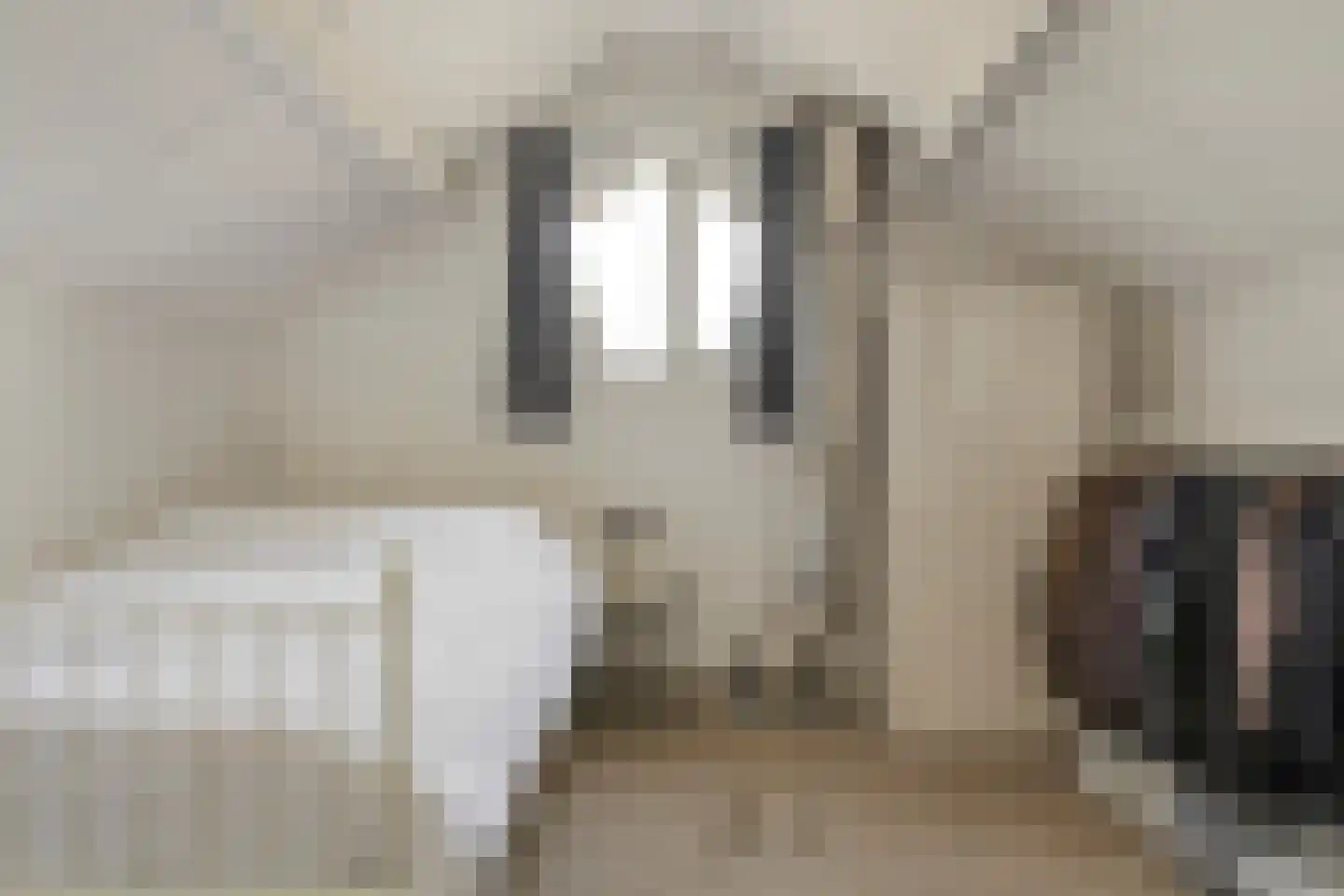 Bruinsteeg 2 Schaijk thumbnail 34