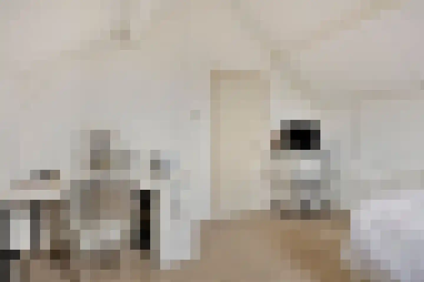 Bruinsteeg 2 Schaijk thumbnail 35