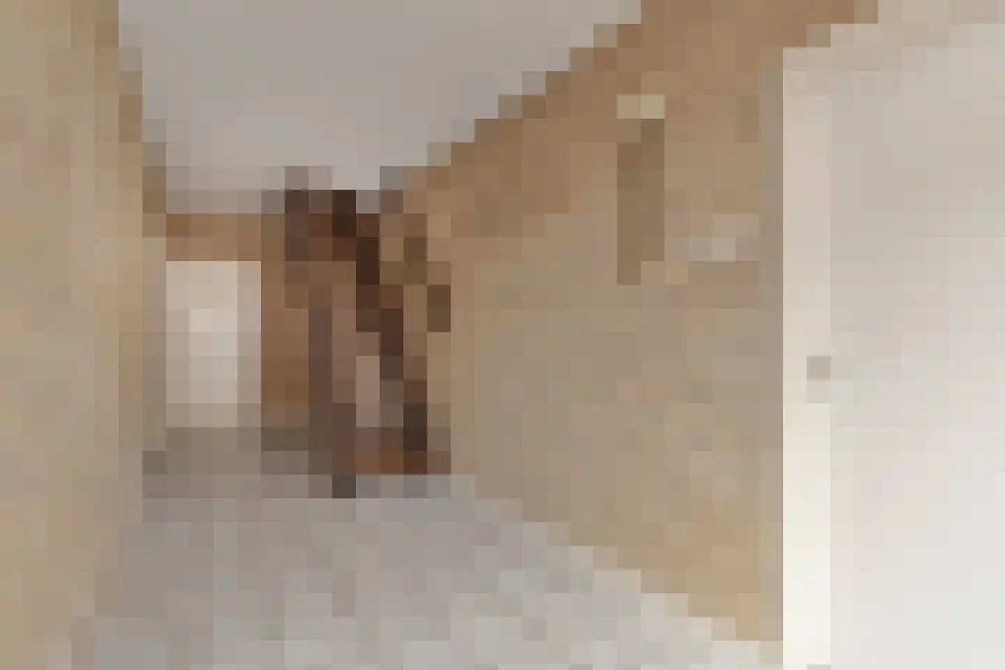 Bruinsteeg 2 Schaijk thumbnail 7