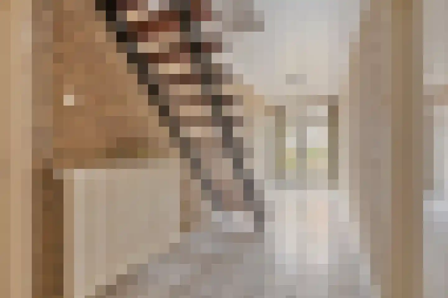 Bruinsteeg 2 Schaijk thumbnail 8