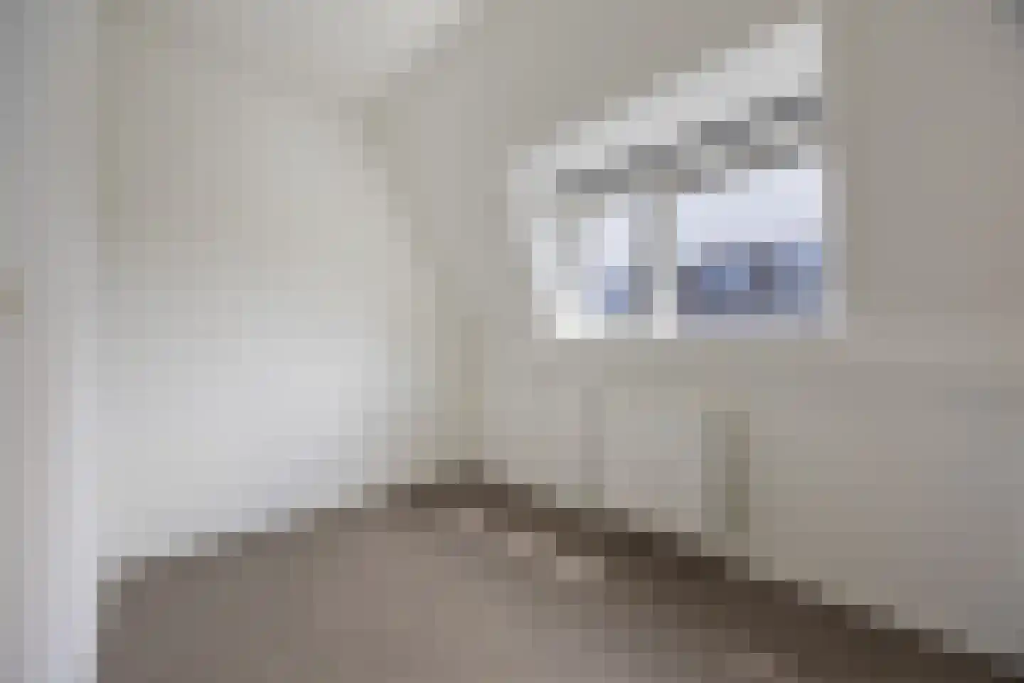Bruinstraat 5 Huissen thumbnail 20
