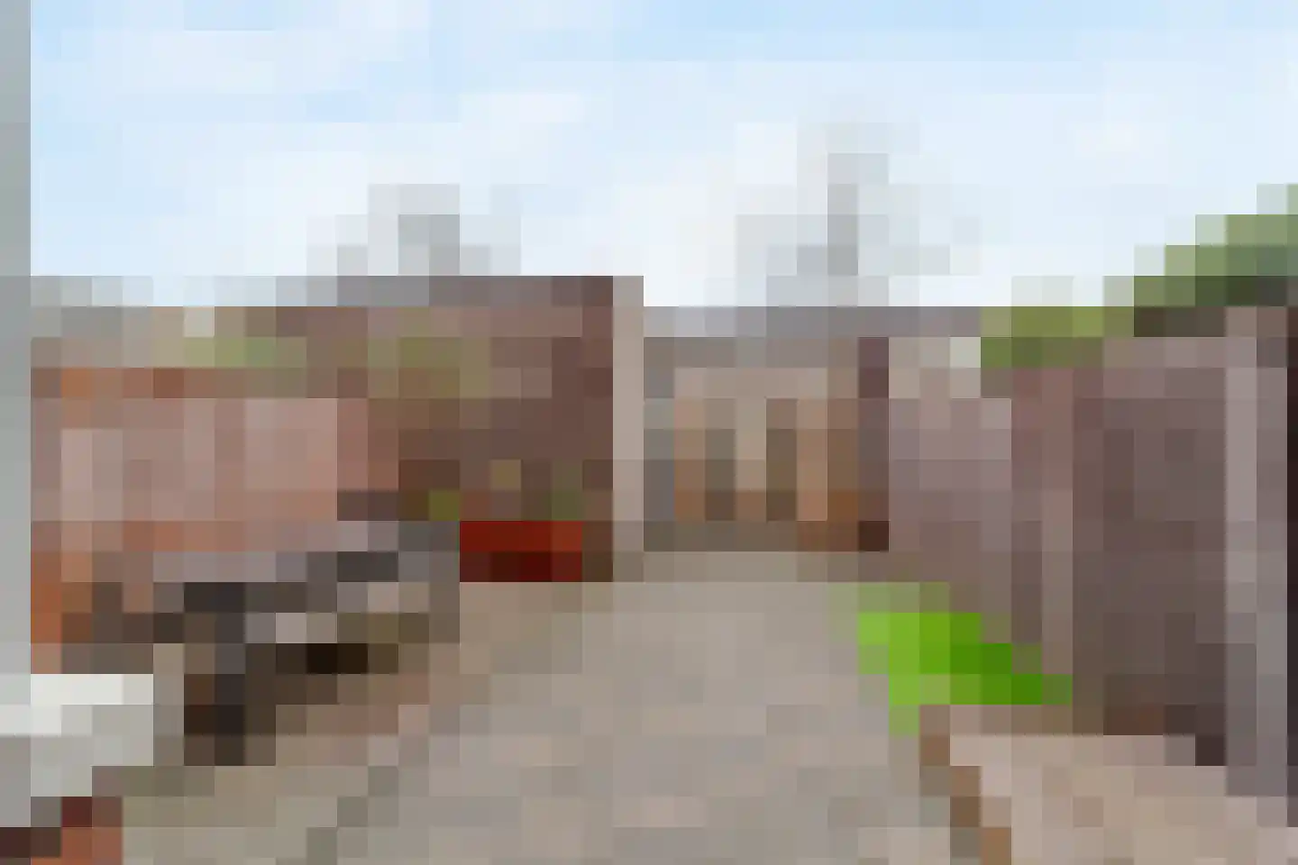 Bruinvis 11 Naaldwijk thumbnail 13