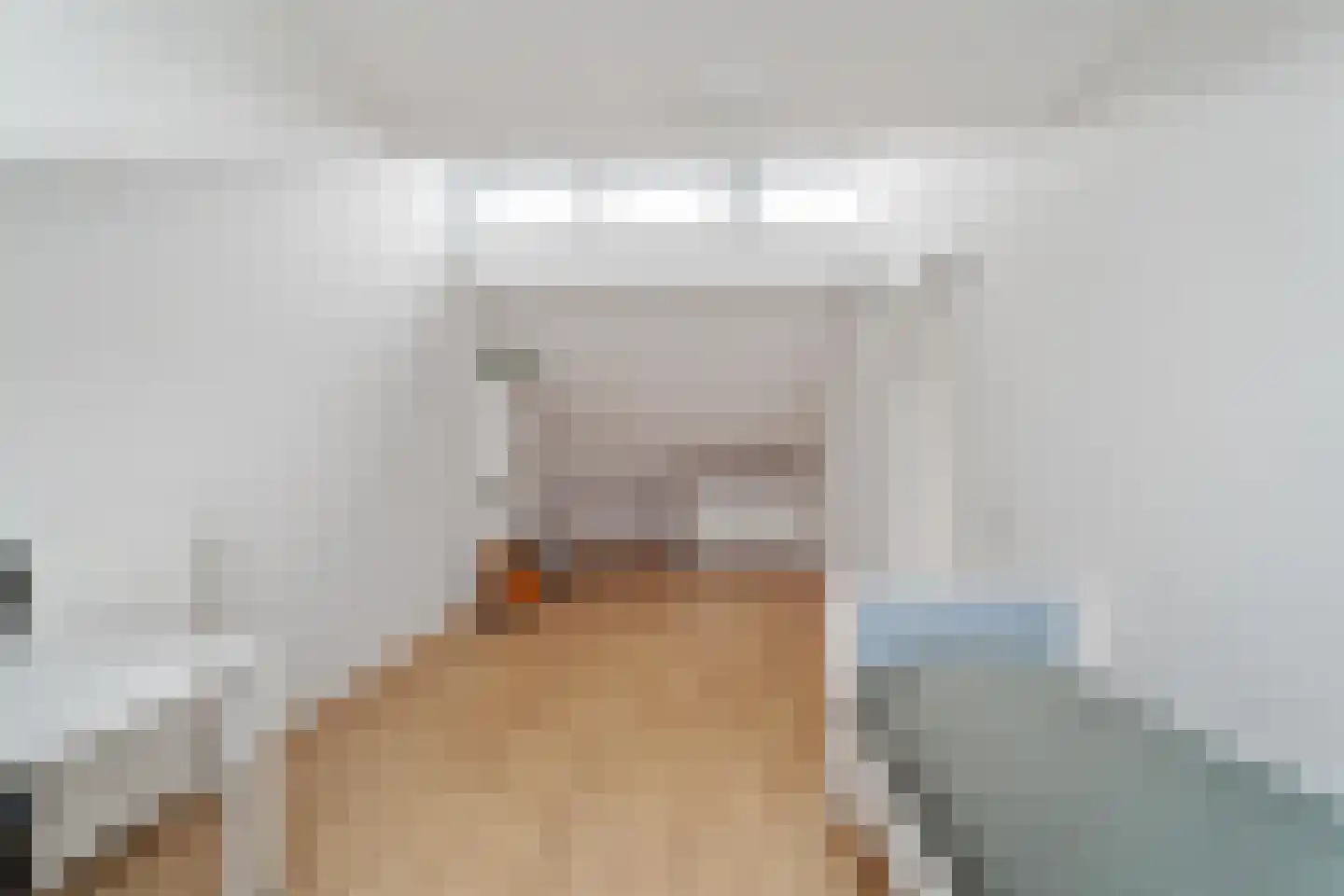 Bruinvis 11 Naaldwijk thumbnail 22