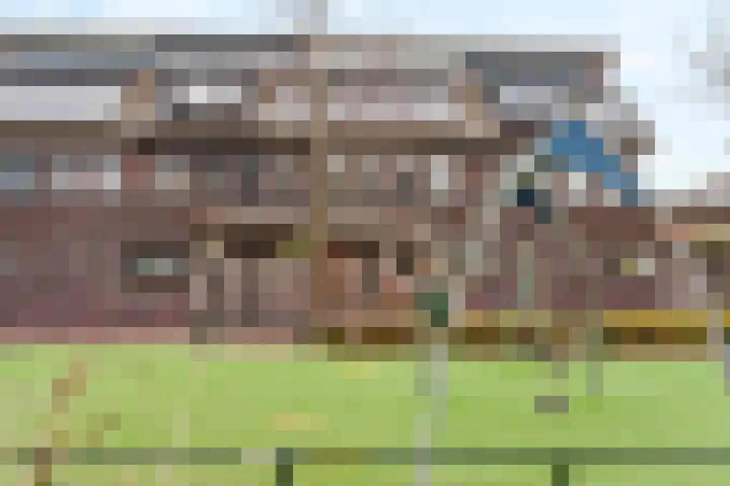 Bruinvis 11 Naaldwijk thumbnail 23