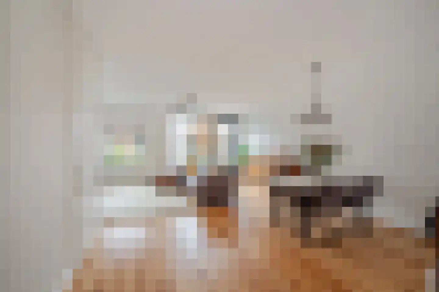 Bruinvis 11 Naaldwijk thumbnail 5